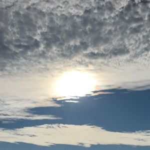 Meet your Posher, Zack